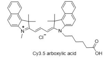 Cy3.5-羧基 Cy3.5-羧基