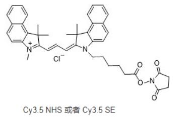 Cy3.5 NHS ester