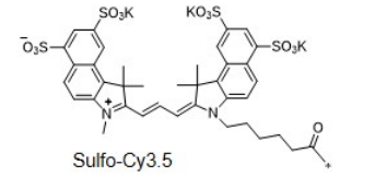 sulfo-Cy3.5