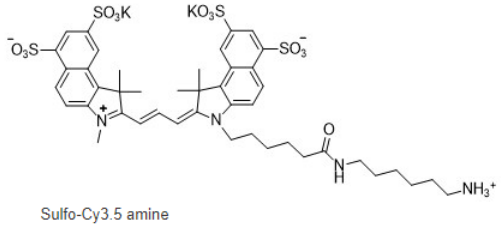 Sulfo-Cy3.5 amine