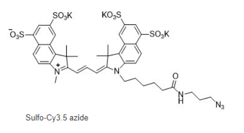 Sulfo-Cyanine3.5 azide