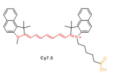 alginate-Cyanine7.5 CY7.5标记海藻酸钠