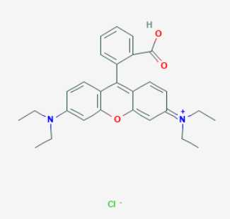 alginate-Rhodamine B 罗丹明B标记海藻酸钠