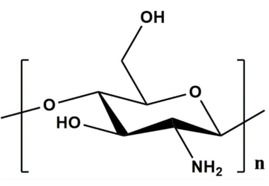 壳聚糖-甘草次酸