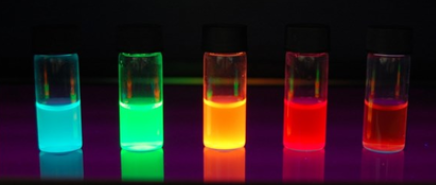 Indocyanine green(ICG)-PEG-OVA	  吲哚菁绿-聚乙二醇-卵清蛋白