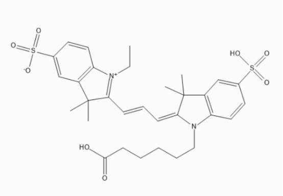 CY3标记甘露糖