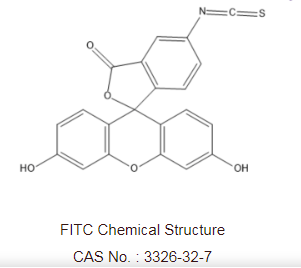 甘露糖-异硫氰基荧光素