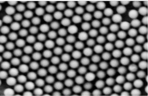 链霉亲和素修饰荧光微球 链霉亲和素修饰荧光微球