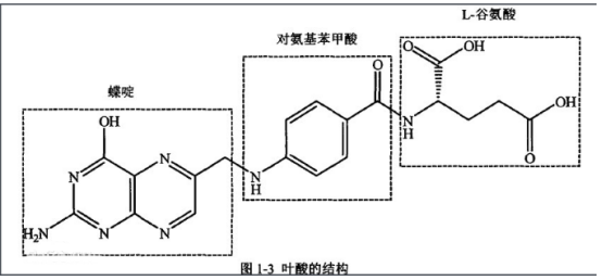 叶酸修饰半乳糖