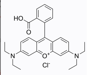 罗丹明B-半乳糖