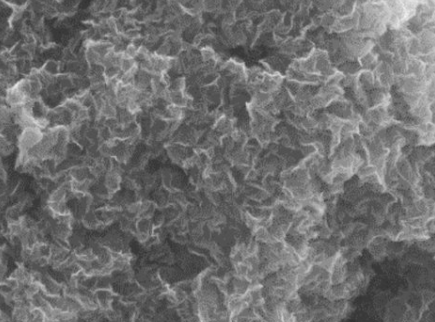 冻干的氧化石墨烯