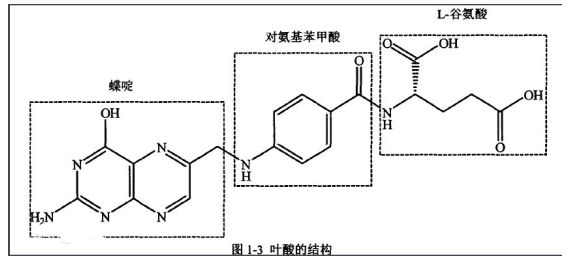 麦芽糖-叶酸