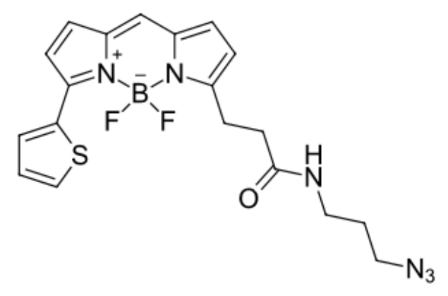BDP 558/568 azide/叠氮 bodipy硼二吡咯烯荧光染料波长
