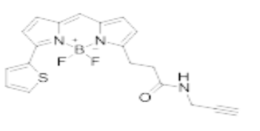 BDP 558/568 alkyne，炔基修饰的荧光染料，bodipy荧光染料脂蛋白
