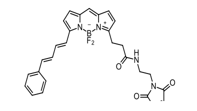BDP 581/591 maleimide ，cas 2183473-29-0
