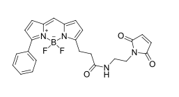BDP R6G maleimide,cas 2183473-32-5