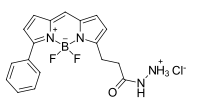 BDP R6G hydrazide，一种硼二吡咯烯染料