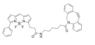 BDP R6G DBCO，BDP R6G染料修饰二苯并环辛炔