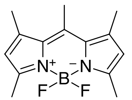 BDP 493/503 lipid stain,cas121207-31-6