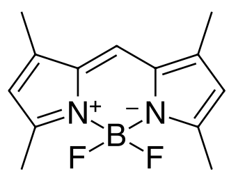 BDP 505/515 lipid stain,cas21658-70-8