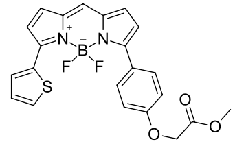 BDP TR methyl ester, 5 mM in DMSO