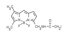 BODIPY FL 碘乙酰胺（BODIPY FL C1-IA，N-(4,4-二氟-5,7-二甲基-4-硼杂-3a,4a-