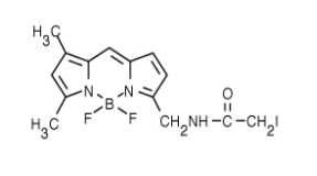 BODIPY FL 碘乙酰胺（BODIPY FL C1-IA，N-(4,4-二氟-5,7-二甲基-4-硼杂-3a,4a-