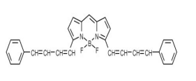 BODIPY 665/676（脂质过氧化传感器）