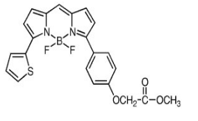 CellTrace BODIPY TR Methyl Ester (Lipophilic Counterstain For GFP)