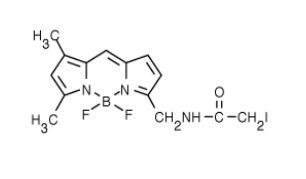 BODIPY FL 碘乙酰胺（BODIPY FL C1-IA，N-(4,4-二氟-5,7-二甲基-4-硼杂-3a,4a-