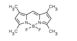 BODIPY 505/515（4,4-二氟-1,3,5,7-四甲基-4-硼杂-3a,4a-二氮杂-s-引达省）