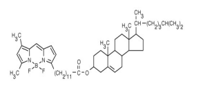 4,4-二氟-5,7-二甲基-4-硼-3a,4a-二氮杂-s-茚并三-3-十二烷酸酯 (CholEsteryl BODI