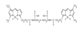 BODIPY FL L-胱氨酸