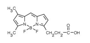 BODIPY FL（4,4-二氟-5,7-二甲基-4-硼杂-3a,4a-二氮杂-s-引达省-3-丙酸）