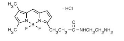 BODIPY FL EDA, 4,4-Difluoro-5,7-Dimethyl-4-Bora-3a,4a-Diaza-s-Indacene-3-Propionyl Ethylenediamine, 