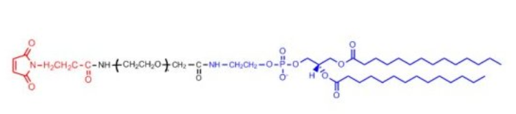 Maleimide-PEG-DMPE二肉豆蔻酰磷脂酰乙醇胺-聚乙二醇-马来酰亚胺