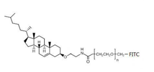 Cholesterol-PEG-FITC  胆固醇-聚乙二醇-荧光素 Fluorescein-PEG-CLS的结构式