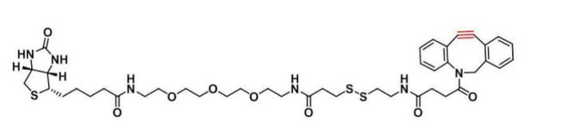 DBCO-S-S-PEG3-biotin产品说明