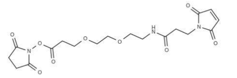 Mal-amido-PEG2-NHS马来酰亚胺-二聚乙二醇-丙烯酸琥珀酰亚胺酯产品描述