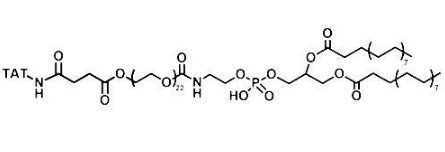 DSPE-PEG-TAT 磷脂-聚乙二醇-靶向穿膜肽TAT TAT-PEG-DSPE