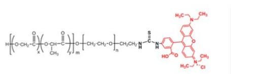 PLGA-PEG-RB MW:10000,5000，PLGA-PEG-RB/PLGA-b-PEG-RhB/ 聚乳酸-羟基乙酸共聚物