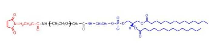 DMPE-PEG-Mal磷脂-聚乙二醇-马来酰亚胺产品描述