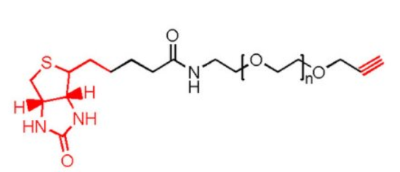 Alkyne-PEG-Biotin炔烃-聚乙二醇-生物素产品描述