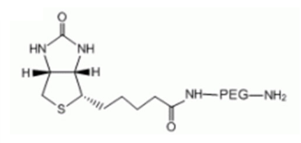 Biotin-PEG-amine生物素-聚乙二醇-氨基产品说明