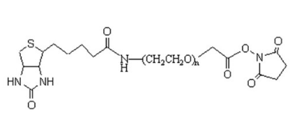 生物素-聚乙二醇-琥珀酰亚胺乙酸酯Biotin-PEG-SCM产品描述