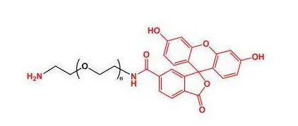 FITC-PEG-NH2荧光素-聚乙二醇-氨基产品描述