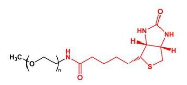 甲氧基聚乙二醇生物素，mPEG-Biotin，甲氧基PEG生物素