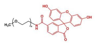 甲氧基聚乙二醇荧光素，mPEG-Fluoresein，甲氧基PEG荧光素