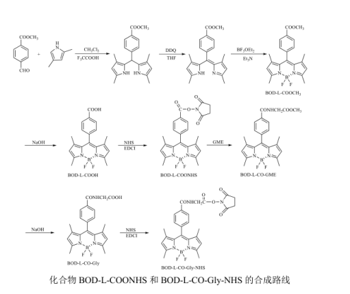 BDP-L-COONHS BDP-L-COONHS