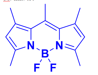 cas121207-31-6，Bodipy493/503 ，荧光染料